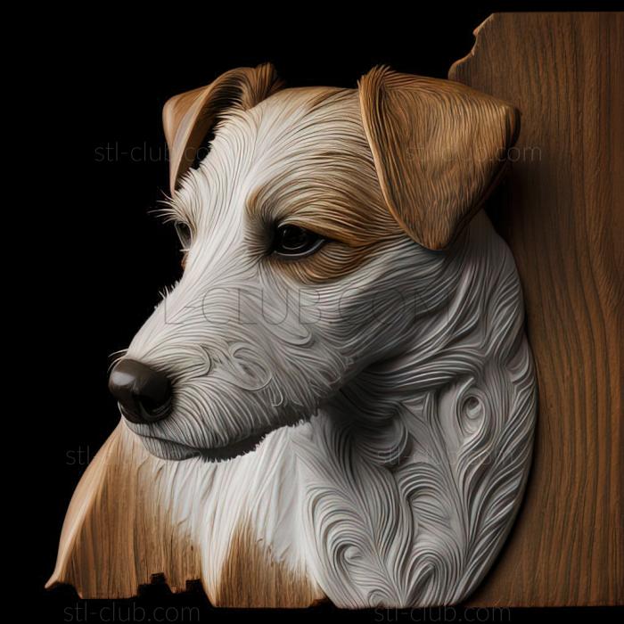 st Parson Russell Terrier dog